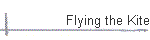 Flying the Kite